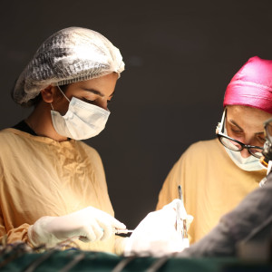 Իրականացվել է գոյացության լիարժեք հեռացում